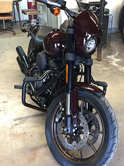 Softail Engine Guards