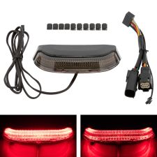 HOGWORKZ® U-Glow LED Taillight for Harley® Touring '14+ in black with Smoked Lens kit