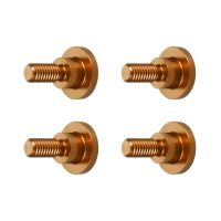 Orange Windshield Bolts for Harley® Road Glide from HOGWORKZ