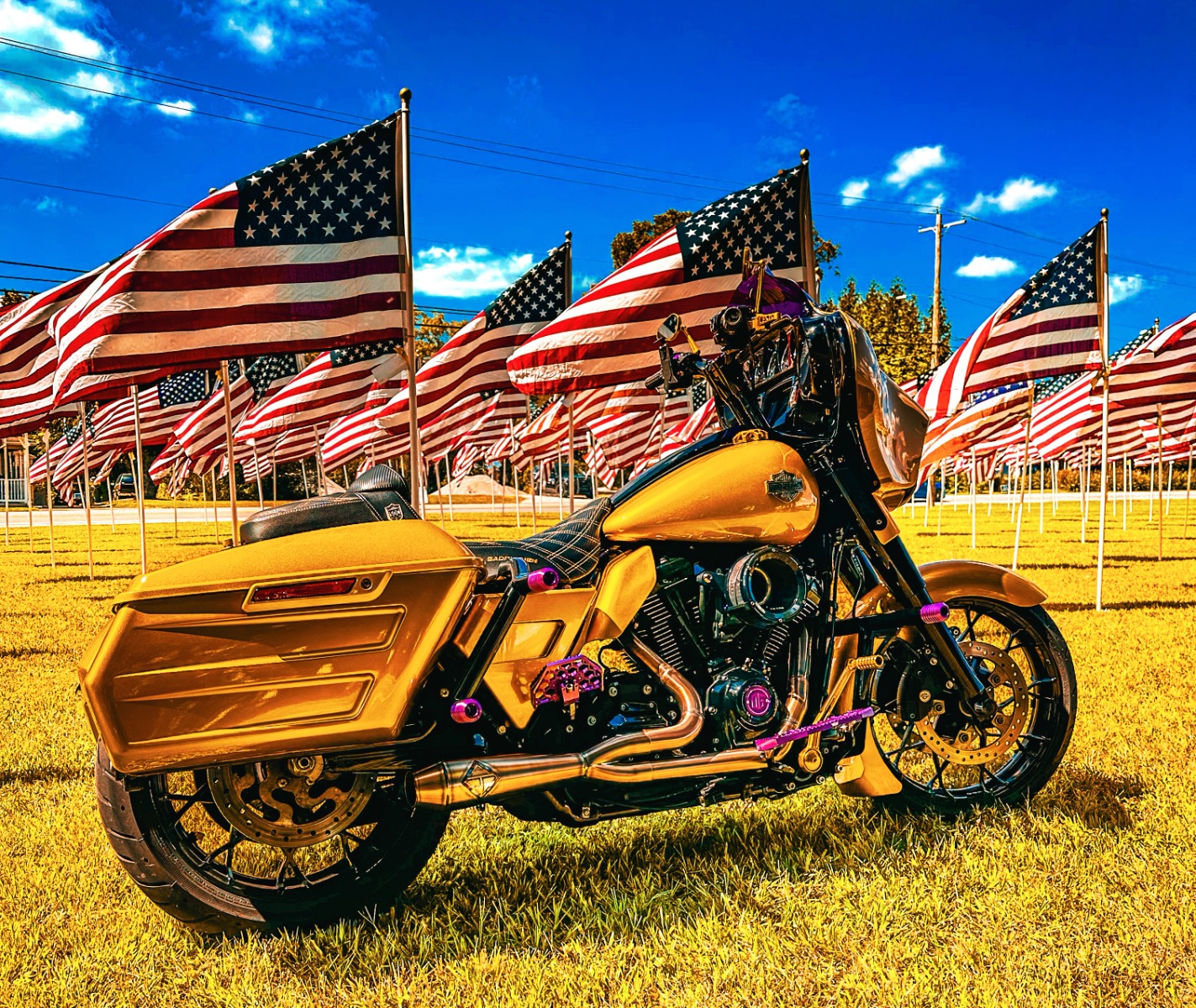 The Ultimate HOGWORKZ® Saddlebag Showcase